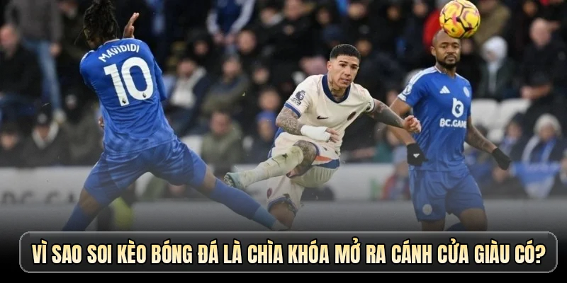 Vì sao soi kèo bóng đá là chìa khóa mở ra cánh cửa giàu có?